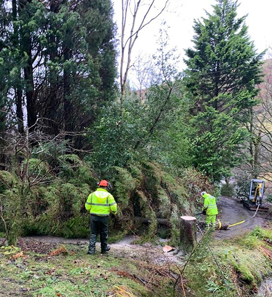 JH Landscaping & Groundworks Kendal and Lake District clearing trees on road after Storm Arwen