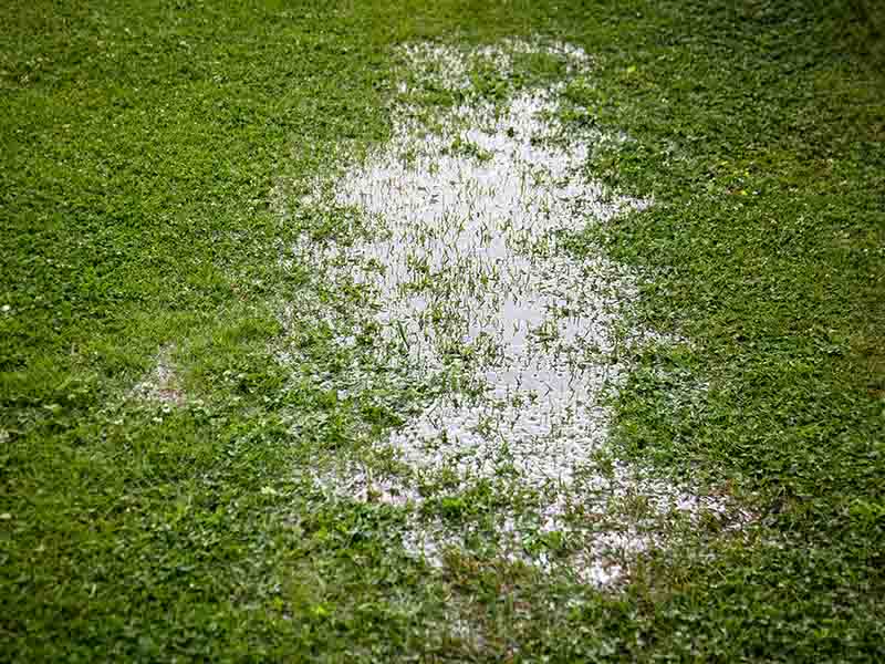 lawn drainage and turf laying for wet gardens in the Lake District