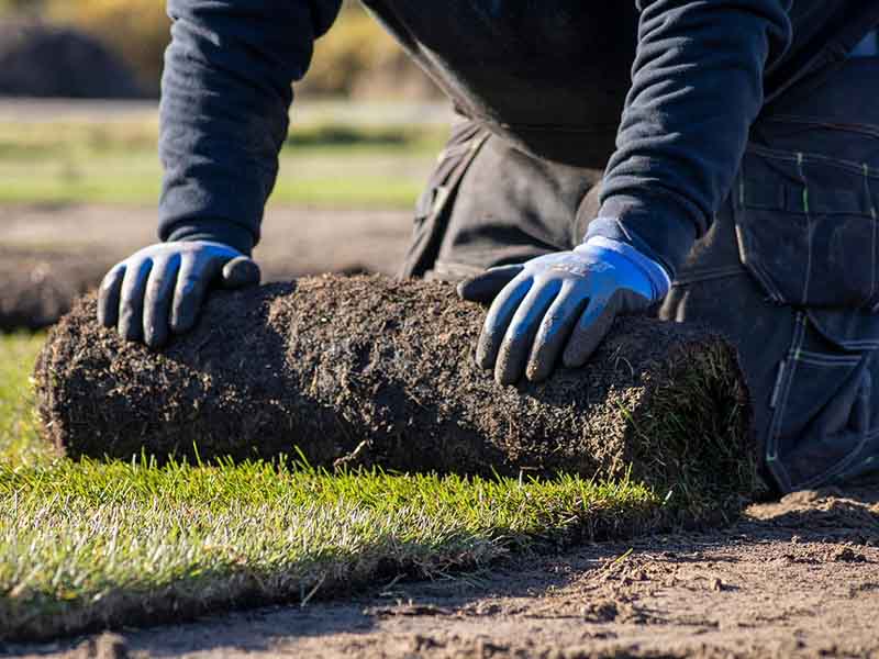 new lawn installation in Kendal and the South Lakes