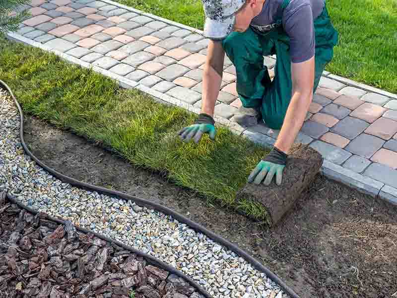 turf laying and grass seeding services in Kendal