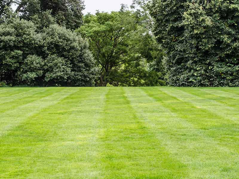 commercial turf laying in Kendal and Cumbria